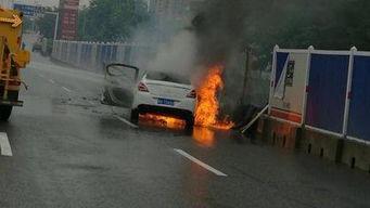 爆料海豚自燃视频播放下载,海豚自燃视频引发热议,真相令人震惊!  第3张 爆料海豚自燃视频播放下载,海豚自燃视频引发热议,真相令人震惊!  第3张
